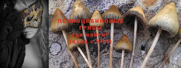 ешки Белокуриха