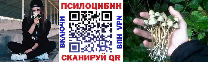 Псилоцибиновые грибы мухоморы  блэк спрут ссылки  Обь 